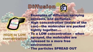 • Examples of diffusion: spraying
aerosols, and perfumes.
• High concentration (inside of the
can)—the molecules are packed
tightly together….
• To a LOW concentration – when
sprayed, the molecules are
released to a more free
environment
• The particles SPREAD OUT
 