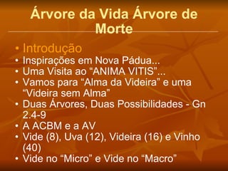 Árvore da Vida Árvore de Morte Introdução Inspirações em Nova Pádua... Uma Visita ao “ANIMA VITIS”... Vamos para “Alma da Videira” e uma “Videira sem Alma” Duas Árvores, Duas Possibilidades - Gn 2.4-9 A ACBM e a AV Vide (8), Uva (12), Videira (16) e Vinho (40) Vide no “Micro” e Vide no “Macro” 