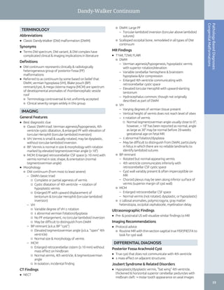 Diagnostic Imaging: Brain Miral D. Jhaveri | PDF