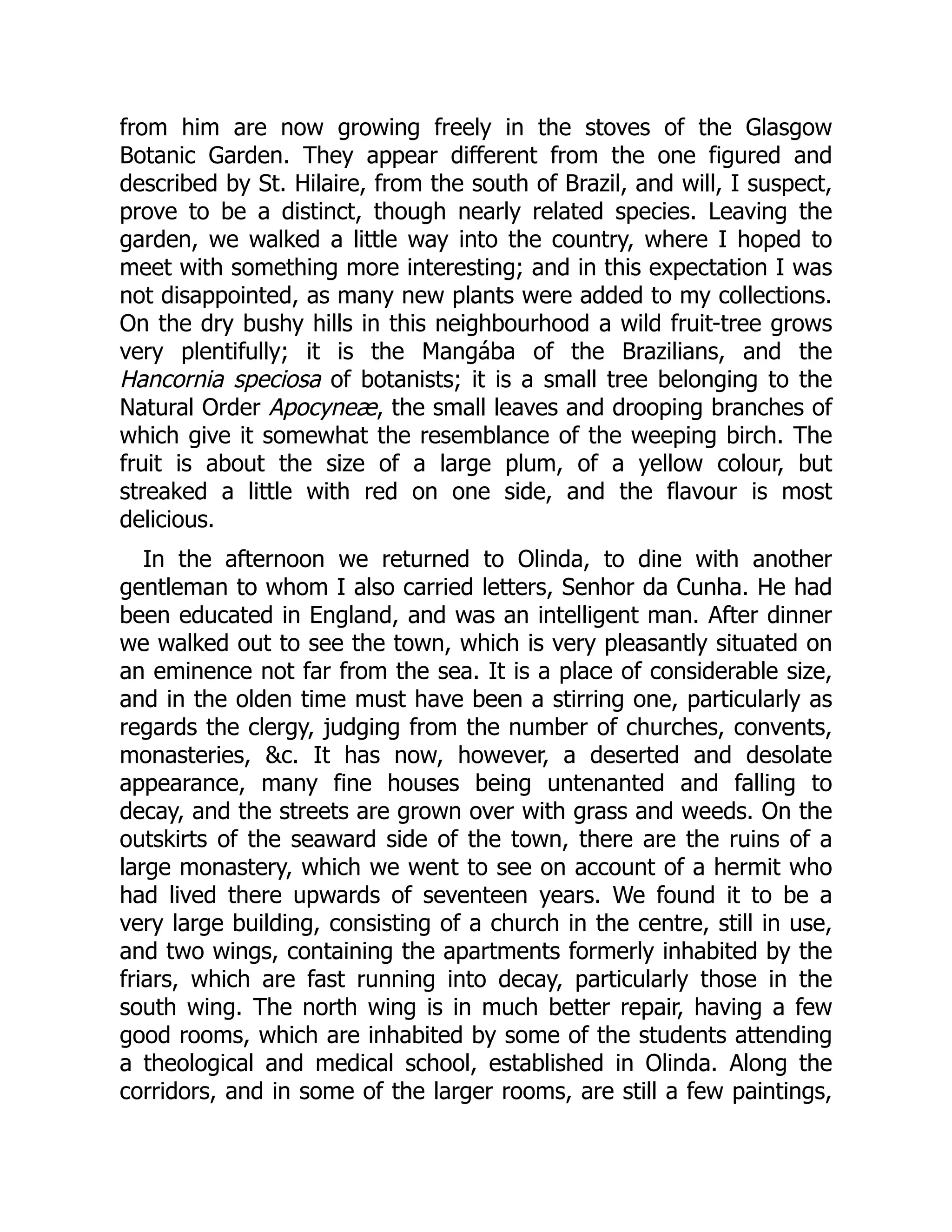 from him are now growing freely in the stoves of the Glasgow
Botanic Garden. They appear different from the one figured and
described by St. Hilaire, from the south of Brazil, and will, I suspect,
prove to be a distinct, though nearly related species. Leaving the
garden, we walked a little way into the country, where I hoped to
meet with something more interesting; and in this expectation I was
not disappointed, as many new plants were added to my collections.
On the dry bushy hills in this neighbourhood a wild fruit-tree grows
very plentifully; it is the Mangába of the Brazilians, and the
Hancornia speciosa of botanists; it is a small tree belonging to the
Natural Order Apocyneæ, the small leaves and drooping branches of
which give it somewhat the resemblance of the weeping birch. The
fruit is about the size of a large plum, of a yellow colour, but
streaked a little with red on one side, and the flavour is most
delicious.
In the afternoon we returned to Olinda, to dine with another
gentleman to whom I also carried letters, Senhor da Cunha. He had
been educated in England, and was an intelligent man. After dinner
we walked out to see the town, which is very pleasantly situated on
an eminence not far from the sea. It is a place of considerable size,
and in the olden time must have been a stirring one, particularly as
regards the clergy, judging from the number of churches, convents,
monasteries, c. It has now, however, a deserted and desolate
appearance, many fine houses being untenanted and falling to
decay, and the streets are grown over with grass and weeds. On the
outskirts of the seaward side of the town, there are the ruins of a
large monastery, which we went to see on account of a hermit who
had lived there upwards of seventeen years. We found it to be a
very large building, consisting of a church in the centre, still in use,
and two wings, containing the apartments formerly inhabited by the
friars, which are fast running into decay, particularly those in the
south wing. The north wing is in much better repair, having a few
good rooms, which are inhabited by some of the students attending
a theological and medical school, established in Olinda. Along the
corridors, and in some of the larger rooms, are still a few paintings,
 