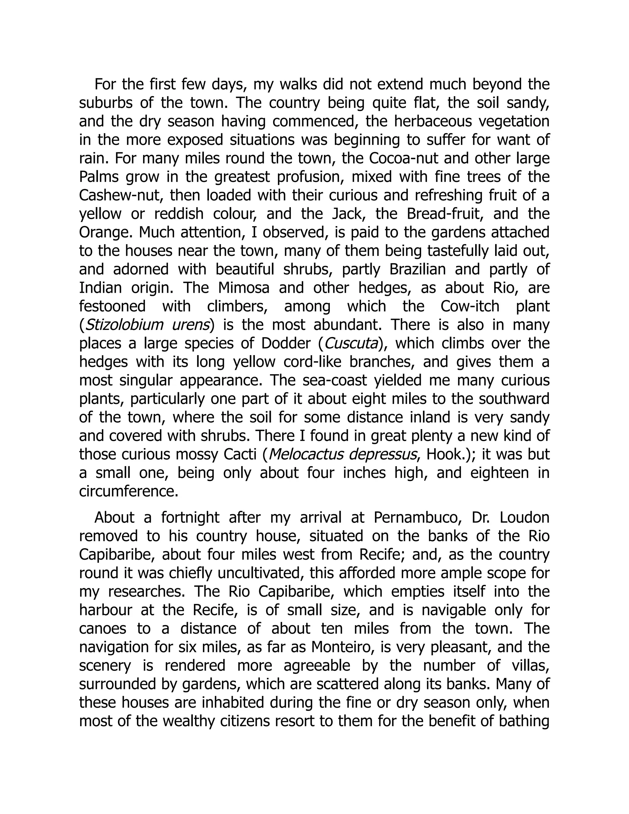 For the first few days, my walks did not extend much beyond the
suburbs of the town. The country being quite flat, the soil sandy,
and the dry season having commenced, the herbaceous vegetation
in the more exposed situations was beginning to suffer for want of
rain. For many miles round the town, the Cocoa-nut and other large
Palms grow in the greatest profusion, mixed with fine trees of the
Cashew-nut, then loaded with their curious and refreshing fruit of a
yellow or reddish colour, and the Jack, the Bread-fruit, and the
Orange. Much attention, I observed, is paid to the gardens attached
to the houses near the town, many of them being tastefully laid out,
and adorned with beautiful shrubs, partly Brazilian and partly of
Indian origin. The Mimosa and other hedges, as about Rio, are
festooned with climbers, among which the Cow-itch plant
(Stizolobium urens) is the most abundant. There is also in many
places a large species of Dodder (Cuscuta), which climbs over the
hedges with its long yellow cord-like branches, and gives them a
most singular appearance. The sea-coast yielded me many curious
plants, particularly one part of it about eight miles to the southward
of the town, where the soil for some distance inland is very sandy
and covered with shrubs. There I found in great plenty a new kind of
those curious mossy Cacti (Melocactus depressus, Hook.); it was but
a small one, being only about four inches high, and eighteen in
circumference.
About a fortnight after my arrival at Pernambuco, Dr. Loudon
removed to his country house, situated on the banks of the Rio
Capibaribe, about four miles west from Recife; and, as the country
round it was chiefly uncultivated, this afforded more ample scope for
my researches. The Rio Capibaribe, which empties itself into the
harbour at the Recife, is of small size, and is navigable only for
canoes to a distance of about ten miles from the town. The
navigation for six miles, as far as Monteiro, is very pleasant, and the
scenery is rendered more agreeable by the number of villas,
surrounded by gardens, which are scattered along its banks. Many of
these houses are inhabited during the fine or dry season only, when
most of the wealthy citizens resort to them for the benefit of bathing
 