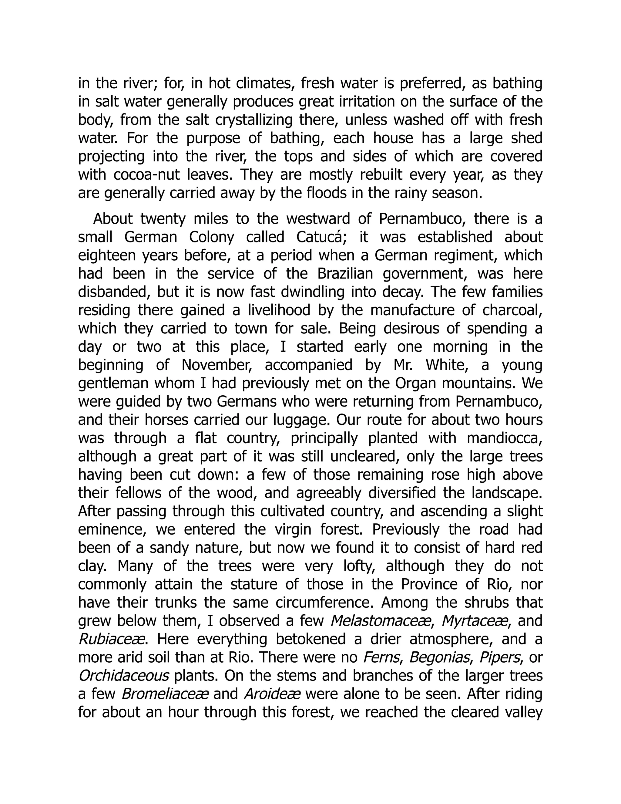 in the river; for, in hot climates, fresh water is preferred, as bathing
in salt water generally produces great irritation on the surface of the
body, from the salt crystallizing there, unless washed off with fresh
water. For the purpose of bathing, each house has a large shed
projecting into the river, the tops and sides of which are covered
with cocoa-nut leaves. They are mostly rebuilt every year, as they
are generally carried away by the floods in the rainy season.
About twenty miles to the westward of Pernambuco, there is a
small German Colony called Catucá; it was established about
eighteen years before, at a period when a German regiment, which
had been in the service of the Brazilian government, was here
disbanded, but it is now fast dwindling into decay. The few families
residing there gained a livelihood by the manufacture of charcoal,
which they carried to town for sale. Being desirous of spending a
day or two at this place, I started early one morning in the
beginning of November, accompanied by Mr. White, a young
gentleman whom I had previously met on the Organ mountains. We
were guided by two Germans who were returning from Pernambuco,
and their horses carried our luggage. Our route for about two hours
was through a flat country, principally planted with mandiocca,
although a great part of it was still uncleared, only the large trees
having been cut down: a few of those remaining rose high above
their fellows of the wood, and agreeably diversified the landscape.
After passing through this cultivated country, and ascending a slight
eminence, we entered the virgin forest. Previously the road had
been of a sandy nature, but now we found it to consist of hard red
clay. Many of the trees were very lofty, although they do not
commonly attain the stature of those in the Province of Rio, nor
have their trunks the same circumference. Among the shrubs that
grew below them, I observed a few Melastomaceæ, Myrtaceæ, and
Rubiaceæ. Here everything betokened a drier atmosphere, and a
more arid soil than at Rio. There were no Ferns, Begonias, Pipers, or
Orchidaceous plants. On the stems and branches of the larger trees
a few Bromeliaceæ and Aroideæ were alone to be seen. After riding
for about an hour through this forest, we reached the cleared valley
 