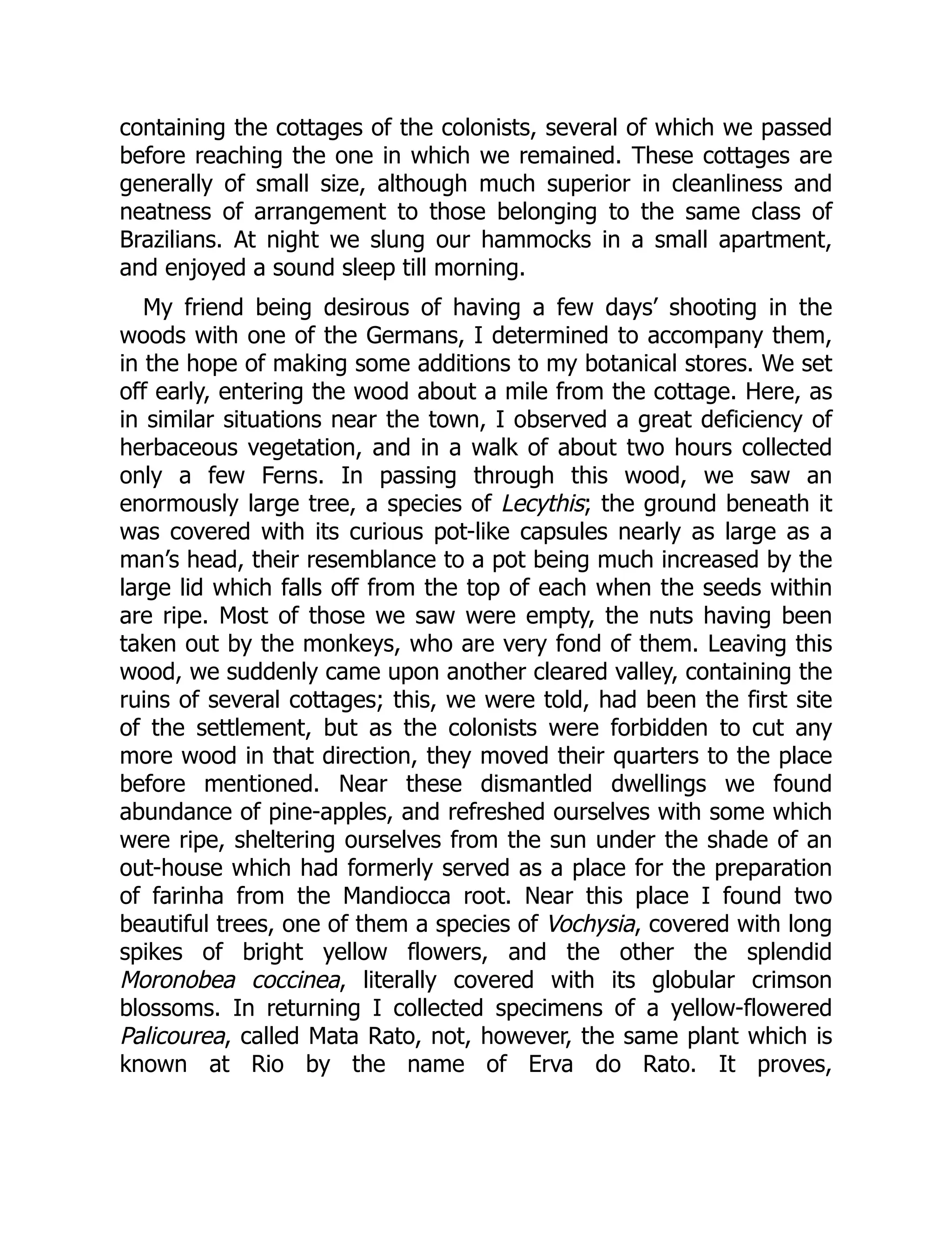 containing the cottages of the colonists, several of which we passed
before reaching the one in which we remained. These cottages are
generally of small size, although much superior in cleanliness and
neatness of arrangement to those belonging to the same class of
Brazilians. At night we slung our hammocks in a small apartment,
and enjoyed a sound sleep till morning.
My friend being desirous of having a few days’ shooting in the
woods with one of the Germans, I determined to accompany them,
in the hope of making some additions to my botanical stores. We set
off early, entering the wood about a mile from the cottage. Here, as
in similar situations near the town, I observed a great deficiency of
herbaceous vegetation, and in a walk of about two hours collected
only a few Ferns. In passing through this wood, we saw an
enormously large tree, a species of Lecythis; the ground beneath it
was covered with its curious pot-like capsules nearly as large as a
man’s head, their resemblance to a pot being much increased by the
large lid which falls off from the top of each when the seeds within
are ripe. Most of those we saw were empty, the nuts having been
taken out by the monkeys, who are very fond of them. Leaving this
wood, we suddenly came upon another cleared valley, containing the
ruins of several cottages; this, we were told, had been the first site
of the settlement, but as the colonists were forbidden to cut any
more wood in that direction, they moved their quarters to the place
before mentioned. Near these dismantled dwellings we found
abundance of pine-apples, and refreshed ourselves with some which
were ripe, sheltering ourselves from the sun under the shade of an
out-house which had formerly served as a place for the preparation
of farinha from the Mandiocca root. Near this place I found two
beautiful trees, one of them a species of Vochysia, covered with long
spikes of bright yellow flowers, and the other the splendid
Moronobea coccinea, literally covered with its globular crimson
blossoms. In returning I collected specimens of a yellow-flowered
Palicourea, called Mata Rato, not, however, the same plant which is
known at Rio by the name of Erva do Rato. It proves,
 