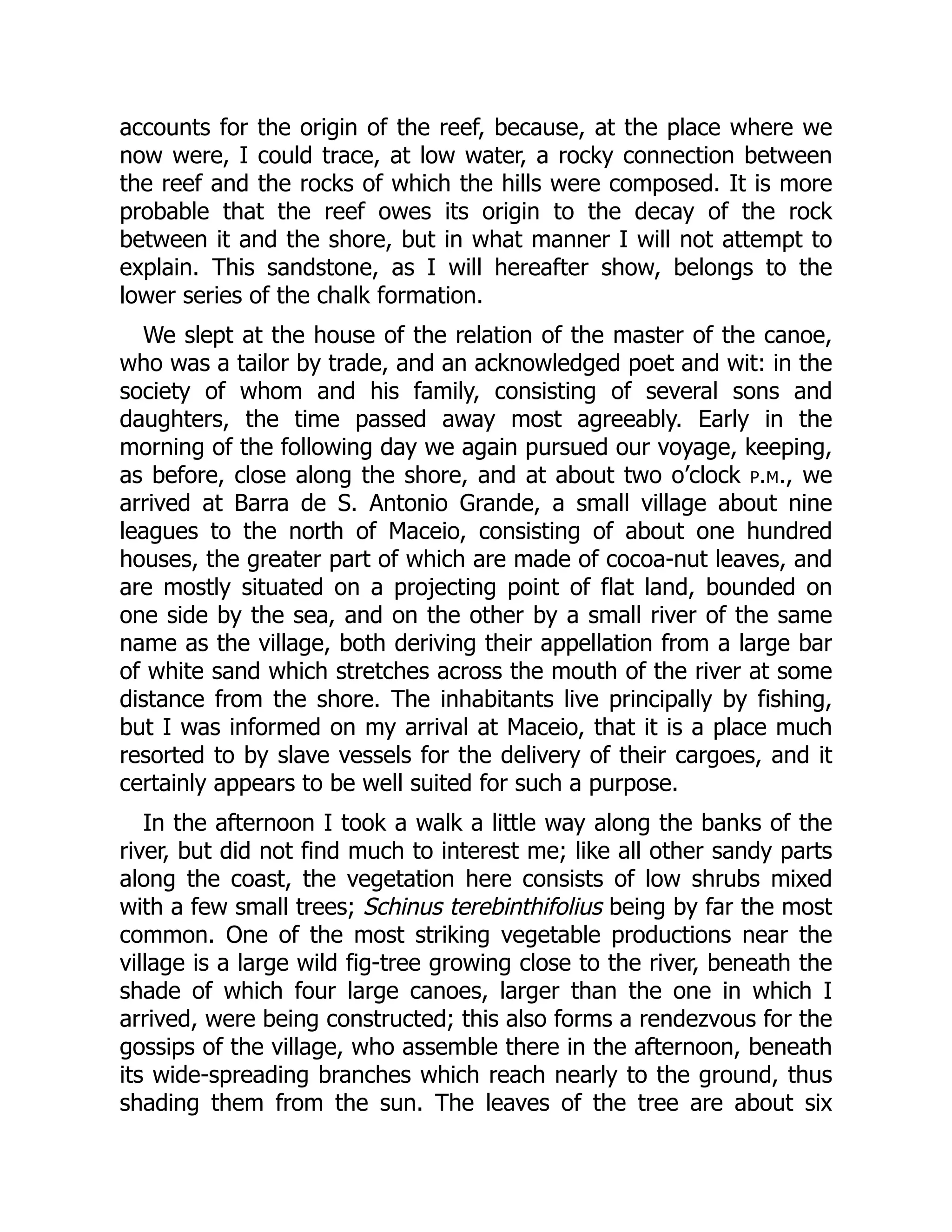 accounts for the origin of the reef, because, at the place where we
now were, I could trace, at low water, a rocky connection between
the reef and the rocks of which the hills were composed. It is more
probable that the reef owes its origin to the decay of the rock
between it and the shore, but in what manner I will not attempt to
explain. This sandstone, as I will hereafter show, belongs to the
lower series of the chalk formation.
We slept at the house of the relation of the master of the canoe,
who was a tailor by trade, and an acknowledged poet and wit: in the
society of whom and his family, consisting of several sons and
daughters, the time passed away most agreeably. Early in the
morning of the following day we again pursued our voyage, keeping,
as before, close along the shore, and at about two o’clock p.m., we
arrived at Barra de S. Antonio Grande, a small village about nine
leagues to the north of Maceio, consisting of about one hundred
houses, the greater part of which are made of cocoa-nut leaves, and
are mostly situated on a projecting point of flat land, bounded on
one side by the sea, and on the other by a small river of the same
name as the village, both deriving their appellation from a large bar
of white sand which stretches across the mouth of the river at some
distance from the shore. The inhabitants live principally by fishing,
but I was informed on my arrival at Maceio, that it is a place much
resorted to by slave vessels for the delivery of their cargoes, and it
certainly appears to be well suited for such a purpose.
In the afternoon I took a walk a little way along the banks of the
river, but did not find much to interest me; like all other sandy parts
along the coast, the vegetation here consists of low shrubs mixed
with a few small trees; Schinus terebinthifolius being by far the most
common. One of the most striking vegetable productions near the
village is a large wild fig-tree growing close to the river, beneath the
shade of which four large canoes, larger than the one in which I
arrived, were being constructed; this also forms a rendezvous for the
gossips of the village, who assemble there in the afternoon, beneath
its wide-spreading branches which reach nearly to the ground, thus
shading them from the sun. The leaves of the tree are about six
 