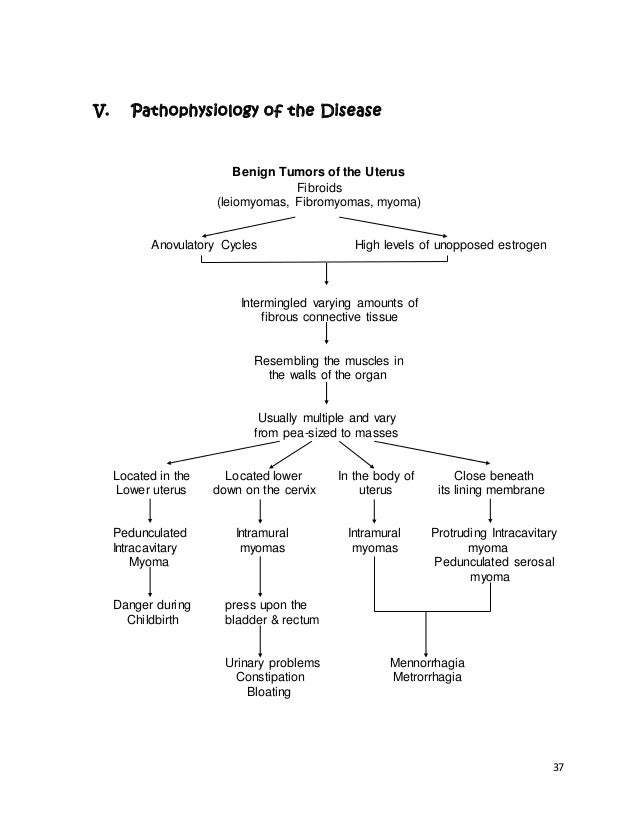 61996341 case study myoma uterine fibroid size chart