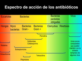 Espectro de acción de los antibióticos Virus Eucariotes Bacterias Bacterias parásitas obligadas Myco bacterias Bacterias Gram - Bacterias Gram + Hongos Clamydias Rikettsias Tetraciclina Sulfamidas Cefalosporina Estreptomicina Polymixina Penicilina Nistatina Unos pocos compuestos que pueden interferir con la síntesis temprana de algunos virus Griseofulvina 