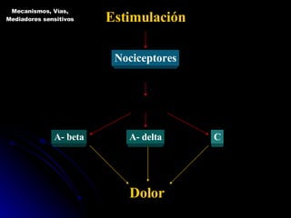 Estimulación Nociceptores Piel, estructuras músculo - esqueléticas y vísceras Axones medula espinal A- beta A- delta C Dolor  Mecanismos, Vías, Mediadores sensitivos 