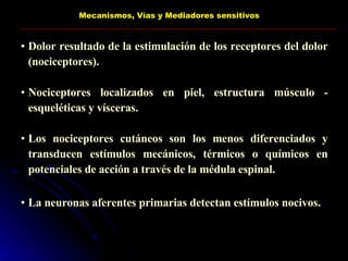 Mecanismos, Vías y Mediadores sensitivos Dolor resultado de la estimulación de los receptores del dolor (nociceptores). Nociceptores localizados en piel, estructura músculo - esqueléticas y vísceras. Los nociceptores cutáneos son los menos diferenciados y transducen estímulos mecánicos, térmicos o químicos en potenciales de acción a través de la médula espinal. La neuronas aferentes primarias detectan estímulos nocivos. 
