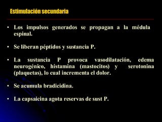Estimulación secundaria Los impulsos generados se propagan a la médula  espinal. Se liberan péptidos y sustancia P. La sustancia P provoca vasodilatación, edema neurogénico, histamina (mastocitos) y  serotonina (plaquetas), lo cual incrementa el dolor. Se acumula bradicidina. La capsaicina agota reservas de sust P. 