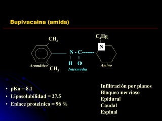 Bupivacaina (amida) CH 3 CH 3 N - C------- H O Aromático Intermedia Amino C 4 Hg N pKa = 8.1 Liposolubilidad = 27.5 Enlace proteinico = 96 % Infiltración por planos Bloqueo nervioso Epidural Caudal  Espinal 