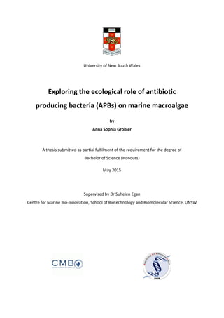 Honours Thesis | A.S. Grobler 1
University of New South Wales
Exploring the ecological role of antibiotic
producing bacteria (APBs) on marine macroalgae
by
Anna Sophia Grobler
A thesis submitted as partial fulfilment of the requirement for the degree of
Bachelor of Science (Honours)
May 2015
Supervised by Dr Suhelen Egan
Centre for Marine Bio-Innovation, School of Biotechnology and Biomolecular Science, UNSW
 