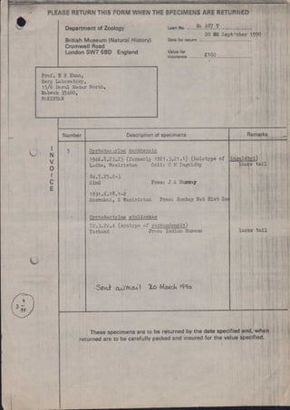 Historic catch up comp +