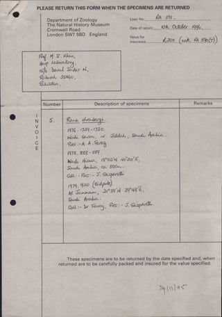 Historic catch up comp +