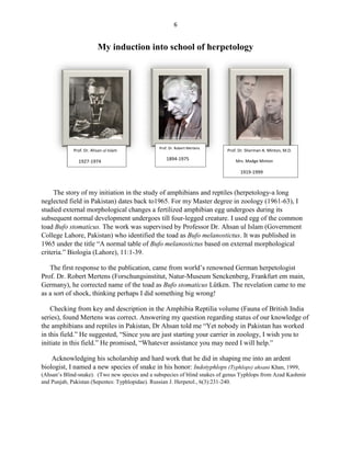 6
My induction into school of herpetology
The story of my initiation in the study of amphibians and reptiles (herpetology-a long
neglected field in Pakistan) dates back to1965. For my Master degree in zoology (1961-63), I
studied external morphological changes a fertilized amphibian egg undergoes during its
subsequent normal development undergoes till four-legged creature. I used egg of the common
toad Bufo stomaticus. The work was supervised by Professor Dr. Ahsan ul Islam (Government
College Lahore, Pakistan) who identified the toad as Bufo melanostictus. It was published in
1965 under the title “A normal table of Bufo melanostictus based on external morphological
criteria.” Biologia (Lahore), 11:1-39.
The first response to the publication, came from world’s renowned German herpetologist
Prof. Dr. Robert Mertens (Forschungsinstitut, Natur-Museum Senckenberg, Frankfurt em main,
Germany), he corrected name of the toad as Bufo stomaticus Lűtken. The revelation came to me
as a sort of shock, thinking perhaps I did something big wrong!
Checking from key and description in the Amphibia Reptilia volume (Fauna of British India
series), found Mertens was correct. Answering my question regarding status of our knowledge of
the amphibians and reptiles in Pakistan, Dr Ahsan told me “Yet nobody in Pakistan has worked
in this field.” He suggested, “Since you are just starting your carrier in zoology, I wish you to
initiate in this field.” He promised, “Whatever assistance you may need I will help.”
Acknowledging his scholarship and hard work that he did in shaping me into an ardent
biologist, I named a new species of snake in his honor: Indotyphlops (Typhlops) ahsani Khan, 1999,
(Ahsan’s Blind-snake). (Two new species and a subspecies of blind snakes of genus Typhlops from Azad Kashmir
and Punjab, Pakistan (Sepentes: Typhlopidae). Russian J. Herpetol., 6(3):231-240.
Prof. Dr. Ahsan ul Islam
1927-1974
Prof. Dr. Robert Mertens
1894-1975
Prof. Dr. Sherman A. Minton, M.D.
Mrs. Madge Minton
1919-1999
 