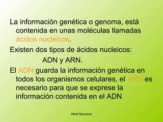 La información genética o genoma, está
contenida en unas moléculas llamadas
ácidos nucleicos.
Existen dos tipos de ácidos nucleicos:
ADN y ARN.
El ADN guarda la información genética en
todos los organismos celulares, el ARN es
necesario para que se exprese la
información contenida en el ADN
Mirel Nervenis
 