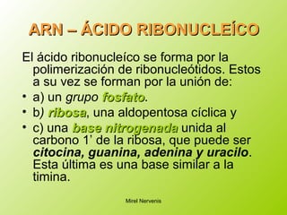 ARN – ÁCIDO RIBONUCLEÍCOARN – ÁCIDO RIBONUCLEÍCO
El ácido ribonucleíco se forma por la
polimerización de ribonucleótidos. Estos
a su vez se forman por la unión de:
• a) un grupo fosfatofosfato.
• b) ribosaribosa, una aldopentosa cíclica y
• c) una basebase nitrogenadanitrogenada unida al
carbono 1’ de la ribosa, que puede ser
citocina, guanina, adenina y uracilo.
Esta última es una base similar a la
timina.
Mirel Nervenis
 
