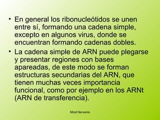 • En general los ribonucleótidos se unen
entre sí, formando una cadena simple,
excepto en algunos virus, donde se
encuentran formando cadenas dobles.
• La cadena simple de ARN puede plegarse
y presentar regiones con bases
apareadas, de este modo se forman
estructuras secundarias del ARN, que
tienen muchas veces importancia
funcional, como por ejemplo en los ARNt
(ARN de transferencia).
Mirel Nervenis
 