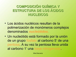 COMPOSICIÓN QUÍMICA YCOMPOSICIÓN QUÍMICA Y
ESTRUCTURA DE LOS ÁCIDOSESTRUCTURA DE LOS ÁCIDOS
NUCLEICOSNUCLEICOS
• Los ácidos nucléicos resultan de la
polimerización de monómeros complejos
denominados nucleótidos.
• Un nucleótido está formado por la unión
de un grupo fosfato al carbono 5’ de una
pentosa. A su vez la pentosa lleva unida
al carbono 1’ una base nitrogenada.
Mirel Nervenis
 