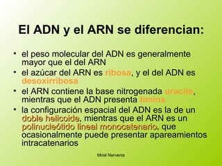El ADN y el ARN se diferencian:
• el peso molecular del ADN es generalmente
mayor que el del ARN
• el azúcar del ARN es ribosa, y el del ADN es
desoxirribosa
• el ARN contiene la base nitrogenada uracilo,
mientras que el ADN presenta timina
• la configuración espacial del ADN es la de un
doble helicoidedoble helicoide, mientras que el ARN es un
polinucleótidopolinucleótido lineallineal monocatenariomonocatenario, que
ocasionalmente puede presentar apareamientos
intracatenarios
Mirel Nervenis
 
