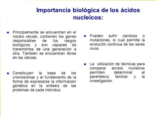 6.1 clasificacion general acidos nucleicos
