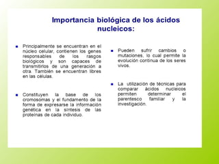 6.1 clasificacion general acidos nucleicos