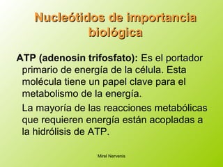 ATP (adenosin trifosfato): Es el portador
primario de energía de la célula. Esta
molécula tiene un papel clave para el
metabolismo de la energía.
La mayoría de las reacciones metabólicas
que requieren energía están acopladas a
la hidrólisis de ATP.
Nucleótidos de importanciaNucleótidos de importancia
biológicabiológica
Mirel Nervenis
 