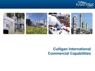 Culligan International
Commercial Capabilities
 
