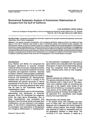 BiochemicalSystematicsandEcology,Vol 16, No. 1, pp. 79-87, 1988. 0305-1978/88 $3.00+ 0.00
Printedin GreatBritain. PergamonJournalsLtd.
Biochemical Systematic Analysis of Evolutionary Relationships of
Groupers from the Gulf of California
LUIS GERARDO LOPEZ LEMUS
Division de Investigacion Biologia Marina, Centro de Investigaciones Biologicas de Baja California Sur, AC, Apartado
Postal No. 128, Le Paz, Baja California Sur 23060, Mexico
KeyWord Index--Epinephelus; Epinephelinae; Serranidae; congeneric fish; groupers; biochemical systematics; evolutionary
relationships; Sea of Cortez; biogeography.
Abstract--Four species of groupers (Epinephelus), with overlapping distribution ranges occurring in the middle and lower
regions of the Gulf of California, were studied in terms of biochemical, genetic and functional enzymic characters. The
electrophoretic analysis of extracts of tissues of these four congeners revealed that the species Epinephelus (Cephalopholis)
panamen$isis closely related geneticallyto E. labriformis and so with the rest of the major branch Epinephelus,thus suggesting a
recent evolutionarydivergencefrom that branch. Although this species might find its subgeneric rank justified in accordance with
the observed differences of its anatomical characters in relation to the restof the species studied, an alternate scheme of the group
phylogeny is proposedand the recognition that Cephalopholisis not avalid genus or subgenus of this American species. Finally,
the apparent relationship between these results and the biogeography of the involved species is discussed.
Introduction
Since Markert and Moiler [1] recognized the
biological significance of enzymes (multiple
molecular forms of enzymes), these gene markers
have proven to be powerful probes for the study
of genetic and organismic evolution. Isozymes
encoded in different alleles possess considerable
power for testing hypothesis within the fields of
evolution and systematics [2]. Electrophoretic
analyses have 12roved useful in studies of the
relationships and genetic structures of natural
populations of marine fish [3, 4]. Such methods
are valuable in providing additional data which
may be used to test hypotheses based on
morphological criteria.
In his comprehensive work on the morphology,
relationships and distribution of American
groupers, Smith [5] recognized five subgenera
within the major genus Epinephelus. One of
these, Cephalopholis, was considered only
because it has nine dorsal spines and lesser skull
modifications, not very important in the cladistic
sense. To test Smith's interpretations regarding
the phylogeny and systematics of Epinephelus
and intragenic differentiation in Cephalopholis,
(Received 7 February 1987)
79
an electrophoretic investigation of isozymes as
gene markers was conducted within four species
of the genus. A report of the relationships among
these four congeners forms the basis of this
study, including some notes on their biogeog-
raphy.
Results
Species analysed and collection sites
The species analysed are shown in Figs 1-4 and
the collection sites in Figs 5 and 6. The speci-
mens were collected mostly by snorkeling and
spear-gun in the western rocky shores of the
lower Gulf of California, including the southern-
most portion of the middle region (regions are
named according to Thomson and Gilligan [6]).
All specimens of E. acanthistius were bought
directly from local fishermen.
Morphometric and meristic data
In the present study, little emphasis has been
given to these data. The counts utilized were
designed only to establish the normal ranges of
variation among species. Not enough material
was obtained to justify an exhaustive study on
the geographic variation in these terms. The
counting of fin rays, however, is useful as a
 