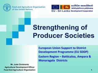 Strengthening of
Producer Societies
European Union Support to District
Development Programme (EU SDDP)
Eastern Region – Batticaloa, Ampara &
Monaragala Districts
1
Mr. Jude Chrishanta
Agricultural Development Officer
Food And Agriculture Organization
 
