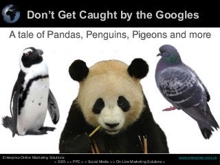 Don’t Get Caught by the Googles
1
Enterprise Online Marketing Solutions www.enterprise-oms.uk
< SEO > < PPC > < Social Media > < On-Line Marketing Solutions >
A tale of Pandas, Penguins, Pigeons and more
 