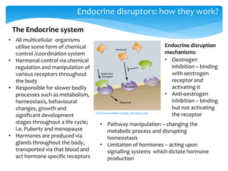Endocrine disruptors: how they work?
The Endocrine system
• All multicellular organisms
utilise some form of chemical
control /coordination system
• Hormonal control via chemical
regulation and manipulation of
various receptors throughout
the body
• Responsible for slower bodily
processes such as metabolism,
homeostasis, behavioural
changes, growth and
significant development
stages throughout a life cycle;
i.e. Puberty and menopause
• Hormones are produced via
glands throughout the body,
transported via that blood and
act hormone specific receptors
http://www.pkdiet.com/pld_disruptors.php
Endocrine disruption
mechanisms:
• Oestrogen
inhibition – binding
with oestrogen
receptor and
activating it
• Anti-oestrogen
inhibition – binding
but not activating
the receptor
• Pathway manipulation – changing the
metabolic process and disrupting
homeostasis
• Limitation of hormones – acting upon
signalling systems which dictate hormone
production
 