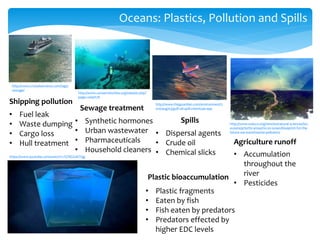 Oceans: Plastics, Pollution and Spills
http://www.cruiselawnews.com/tags/
sewage/
http://www.conserveturtles.org/velador.php?
page=velart78
http://www.theguardian.com/environment/2
010/aug/03/gulf-oil-spill-chemicals-epa
http://www.unesco.org/new/en/natural-sciences/ioc-
oceans/priority-areas/rio-20-ocean/blueprint-for-the-
future-we-want/marine-pollution/
Shipping pollution
• Fuel leak
• Waste dumping
• Cargo loss
• Hull treatment
Sewage treatment
• Synthetic hormones
• Urban wastewater
• Pharmaceuticals
• Household cleaners
Spills
• Dispersal agents
• Crude oil
• Chemical slicks
Agriculture runoff
• Accumulation
throughout the
river
• Pesticides
https://www.youtube.com/watch?v=FjT8GG0ETQg
Plastic bioaccumulation
• Plastic fragments
• Eaten by fish
• Fish eaten by predators
• Predators effected by
higher EDC levels
 