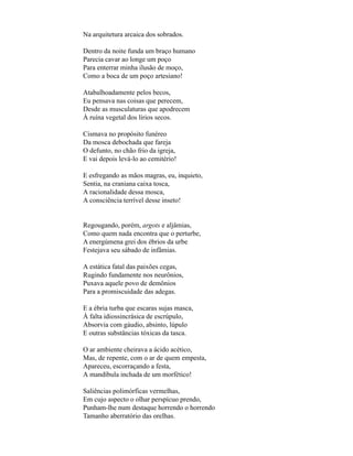 Na arquitetura arcaica dos sobrados.

Dentro da noite funda um braço humano
Parecia cavar ao longe um poço
Para enterrar minha ilusão de moço,
Como a boca de um poço artesiano!

Atabalhoadamente pelos becos,
Eu pensava nas coisas que perecem,
Desde as musculaturas que apodrecem
À ruína vegetal dos lírios secos.

Cismava no propósito funéreo
Da mosca debochada que fareja
O defunto, no chão frio da igreja,
E vai depois levá-lo ao cemitério!

E esfregando as mãos magras, eu, inquieto,
Sentia, na craniana caixa tosca,
A racionalidade dessa mosca,
A consciência terrível desse inseto!


Regougando, porém, argots e aljâmias,
Como quem nada encontra que o perturbe,
A energúmena grei dos ébrios da urbe
Festejava seu sábado de infâmias.

A estática fatal das paixões cegas,
Rugindo fundamente nos neurônios,
Puxava aquele povo de demônios
Para a promiscuidade das adegas.

E a ébria turba que escaras sujas masca,
À falta idiossincrásica de escrúpulo,
Absorvia com gáudio, absinto, lúpulo
E outras substâncias tóxicas da tasca.

O ar ambiente cheirava a ácido acético,
Mas, de repente, com o ar de quem empesta,
Apareceu, escorraçando a festa,
A mandíbula inchada de um morfético!

Saliências polimórficas vermelhas,
Em cujo aspecto o olhar perspícuo prendo,
Punham-lhe num destaque horrendo o horrendo
Tamanho aberratório das orelhas.
 