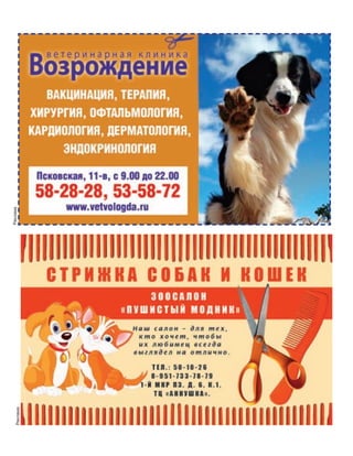 Реклама
Реклама
 