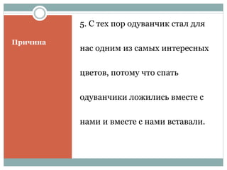 Причина
5. С тех пор одуванчик стал для
нас одним из самых интересных
цветов, потому что спать
одуванчики ложились вместе с
нами и вместе с нами вставали.
 