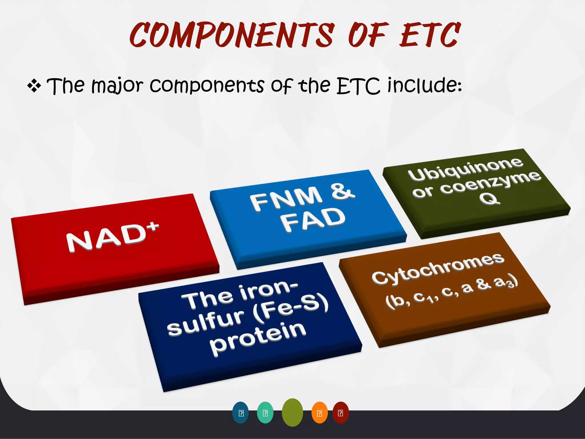 ❖ The major components of the ETC include:
 