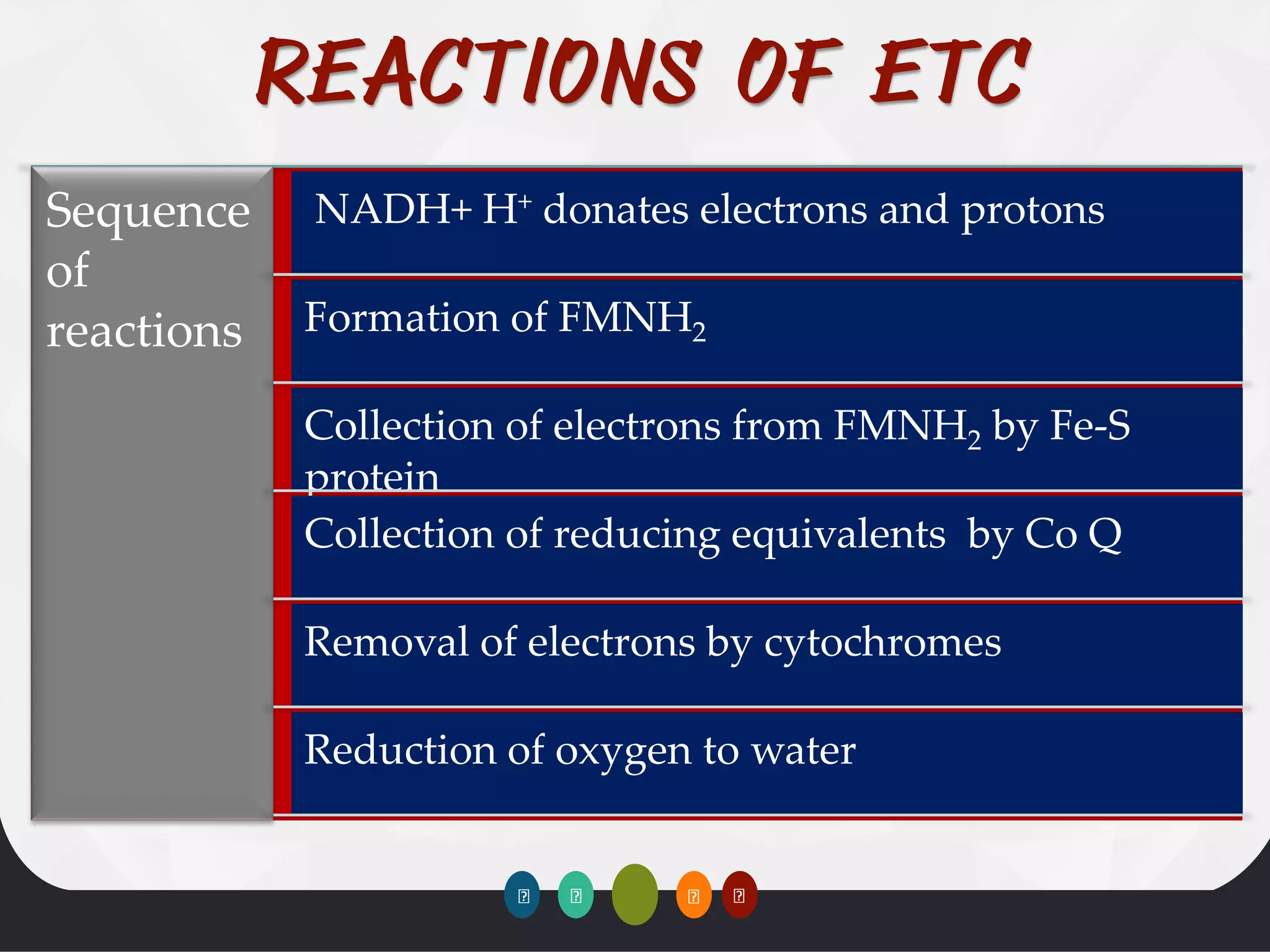 Sequence
of
reactions
NADH+ H+ donates electrons and protons
Formation of FMNH2
Collection of electrons from FMNH2 by Fe-S
protein
Collection of reducing equivalents by Co Q
Removal of electrons by cytochromes
Reduction of oxygen to water
 