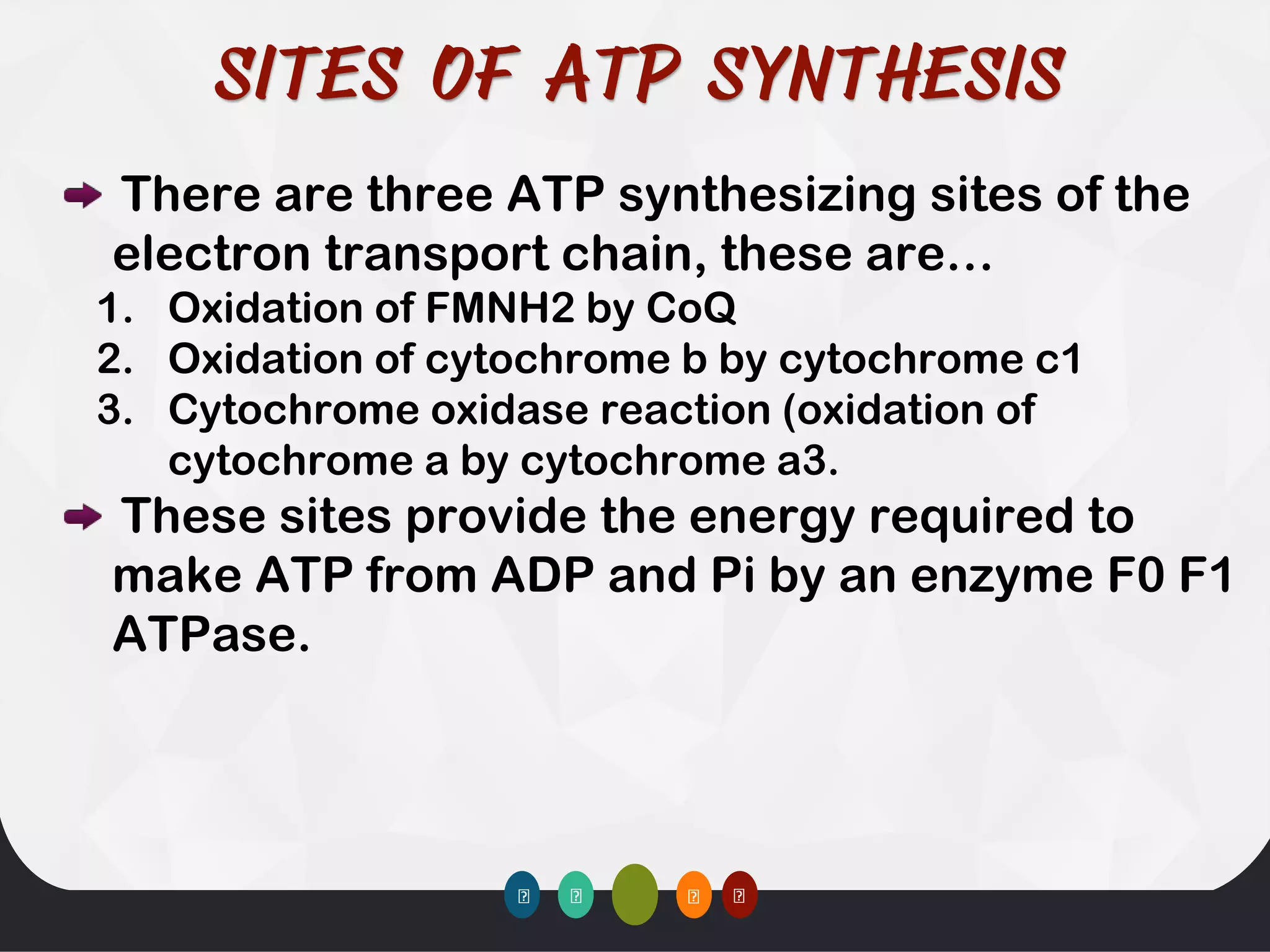 There are three ATP synthesizing sites of the
electron transport chain, these are…
1. Oxidation of FMNH2 by CoQ
2. Oxidation of cytochrome b by cytochrome c1
3. Cytochrome oxidase reaction (oxidation of
cytochrome a by cytochrome a3.
These sites provide the energy required to
make ATP from ADP and Pi by an enzyme F0 F1
ATPase.
 