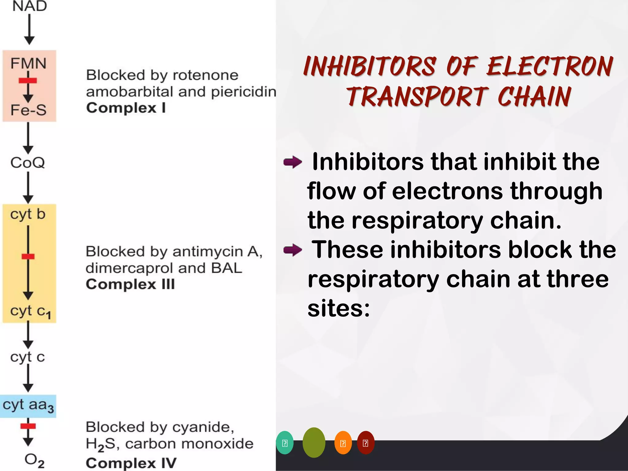 Inhibitors that inhibit the
flow of electrons through
the respiratory chain.
These inhibitors block the
respiratory chain at three
sites:
 