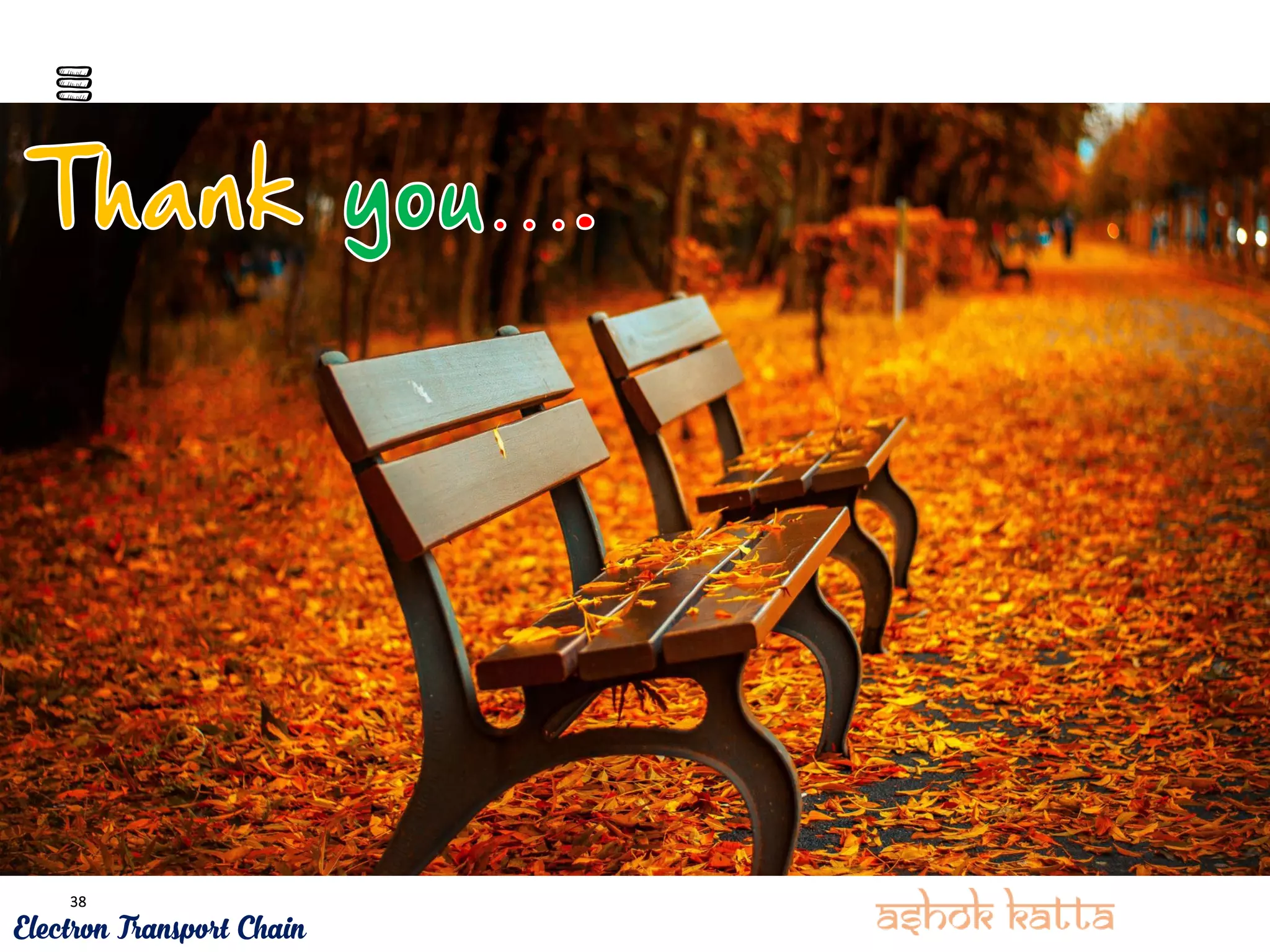 38
Electron Transport Chain
 