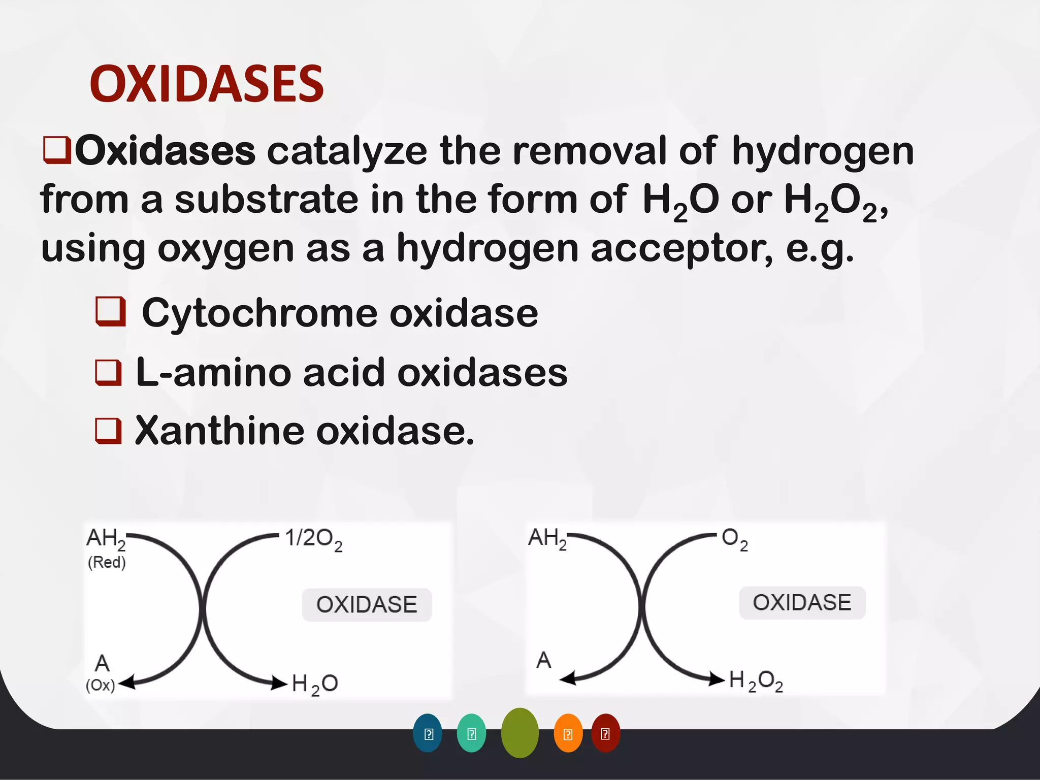 OXIDASES
❑Oxidases catalyze the removal of hydrogen
from a substrate in the form of H2O or H2O2,
using oxygen as a hydrogen acceptor, e.g.
❑ Cytochrome oxidase
❑ L-amino acid oxidases
❑ Xanthine oxidase.
 
