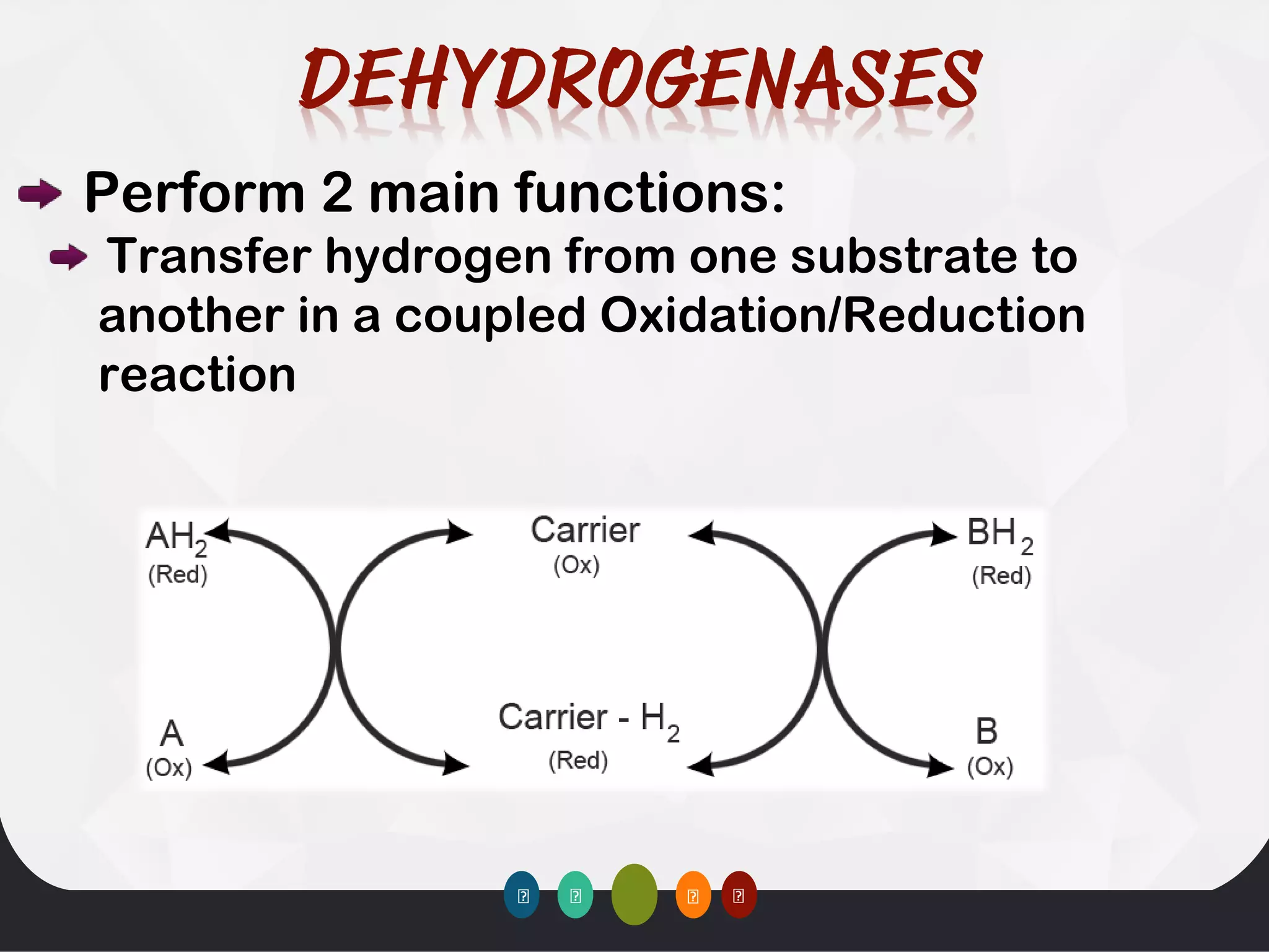 Perform 2 main functions:
Transfer hydrogen from one substrate to
another in a coupled Oxidation/Reduction
reaction
 