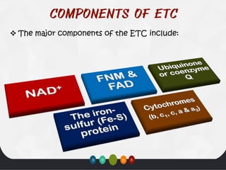 Biological oxidation (part - II) Electron Transport Chain - ETC | PDF