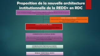 Proposition de la nouvelle architecture
institutionnelle de la REDD+ en RDC
COMITE INTERMINISTERIEL REDD+
Cadre d’orientat...