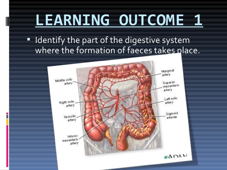 form 4 Biology chap6 pt6