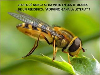 ¿POR QUÉ NUNCA SE HA VISTO EN LOS TITULARES DE UN PERIÓDICO: “ ADIVINO  GANA LA LOTERÍA” ? 