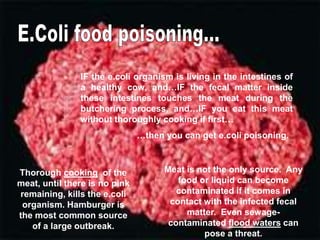 IF the e.coli organism is living in the intestines of
a healthy cow, and…IF the fecal matter inside
these intestines touches the meat during the
butchering process, and…IF you eat this meat
without thoroughly cooking if first…
…then you can get e.coli poisoning.
Thorough cooking of the
meat, until there is no pink
remaining, kills the e.coli
organism. Hamburger is
the most common source
of a large outbreak.
Meat is not the only source. Any
food or liquid can become
contaminated if it comes in
contact with the infected fecal
matter. Even sewage-
contaminated flood waters can
pose a threat.
 