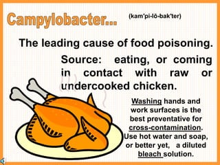 The leading cause of food poisoning.
Source: eating, or coming
in contact with raw or
undercooked chicken.
Washing hands and
work surfaces is the
best preventative for
cross-contamination.
Use hot water and soap,
or better yet, a diluted
bleach solution.
(kam′pi-lō-bak′ter)
 