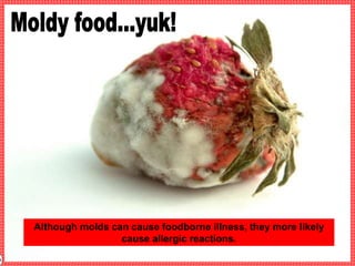 Although molds can cause foodborne illness, they more likely
cause allergic reactions.
 