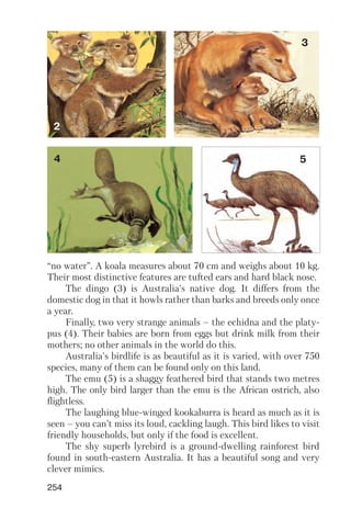 254
“no water”. A koala measures about 70 cm and weighs about 10 kg.
Their most distinctive features are tufted ears and hard black nose.
The dingo (3) is Australia's native dog. It differs from the
domestic dog in that it howls rather than barks and breeds only once
a year.
Finally, two very strange animals – the echidna and the platy
pus (4). Their babies are born from eggs but drink milk from their
mothers; no other animals in the world do this.
Australia's birdlife is as beautiful as it is varied, with over 750
species, many of them can be found only on this land.
The emu (5) is a shaggy feathered bird that stands two metres
high. The only bird larger than the emu is the African ostrich, also
flightless.
The laughing blue winged kookaburra is heard as much as it is
seen – you can’t miss its loud, cackling laugh. This bird likes to visit
friendly households, but only if the food is excellent.
The shy superb lyrebird is a ground dwelling rainforest bird
found in south eastern Australia. It has a beautiful song and very
clever mimics.
2
3
4 5
 